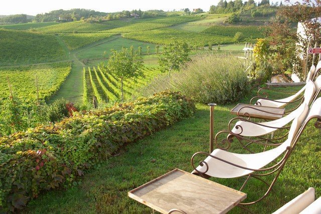 Casual, outdoor seating arranged on the green lawn, overlooking a vineyard that stretches our into the distance across rolling green hills.