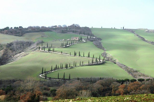 A rural scene. A tree-lined road winds up the green rolling hills.