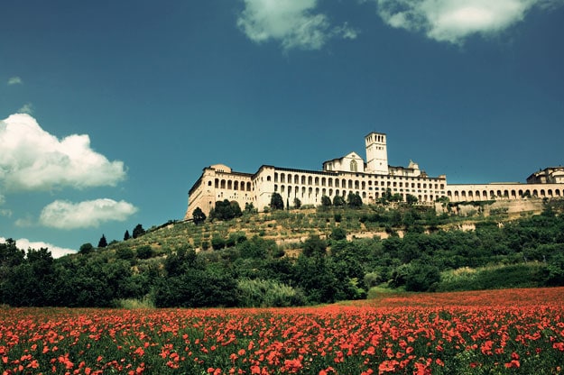 A large white castle atop a green, treed hill, with a field of poppies in the foreground.
