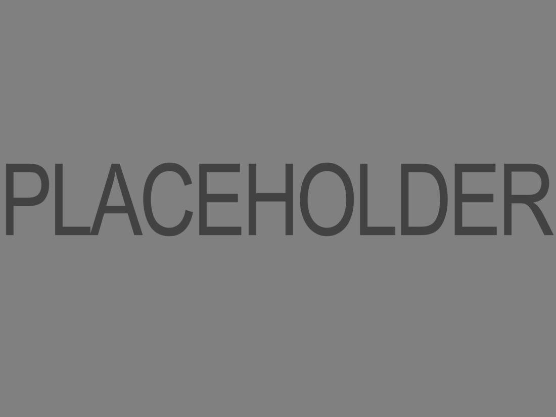 Placeholder Caption