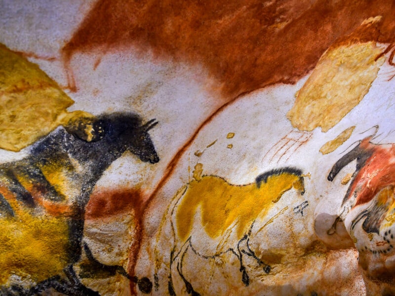 Rock art from Lascaux Cave