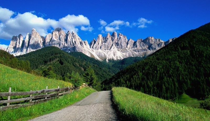 A small, straight alpine road leads away over the crest of a grassy hill. A wooden post and rail fence and tall green grass line the road. The tall rocky Alps are in the background.