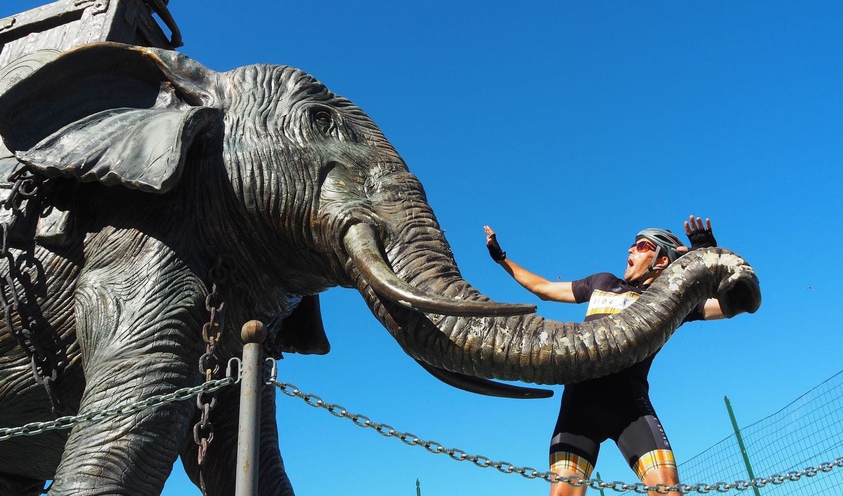 A large grey statue of a long-horned elephant carrying a luggage trunk. A person dressed in a Ride and Seek cycling kit poses with a shocked expression behind the elephant's trunk.