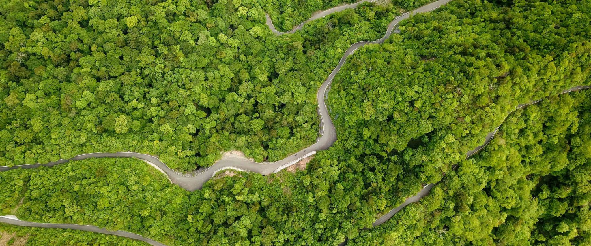 Aerial view of a road winding through a wooded area, with 2 switchbacks visible.