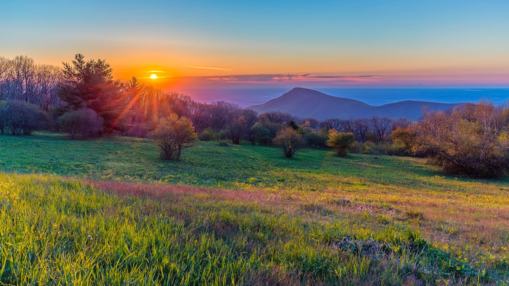 A field of green grass with a forest and tall hills in the background. The sun is low on the horizon, and the sky is a beautiful mix of colours.