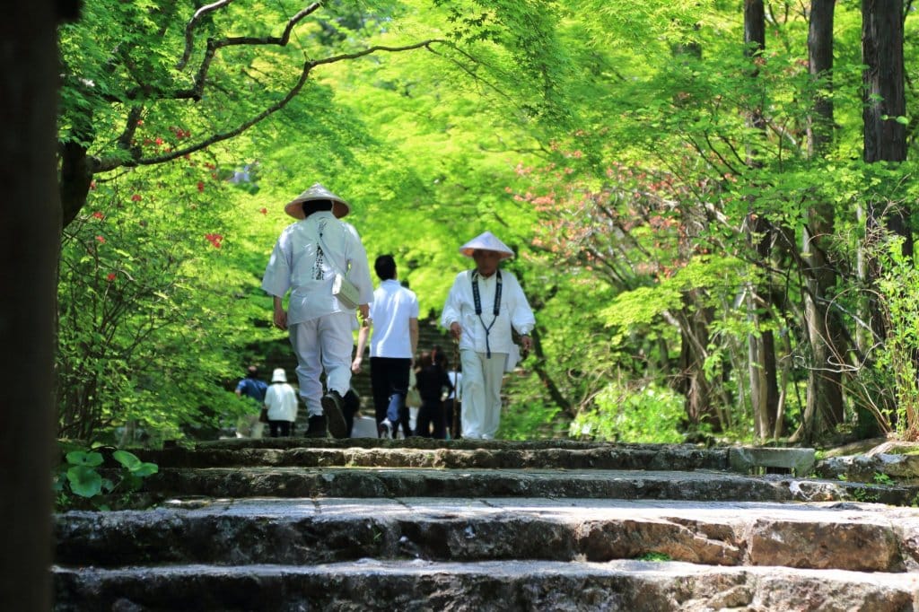 Many pilgrims, some wearing all white with traditional Japanese hats walking along a stone path through a heavily wooded area.