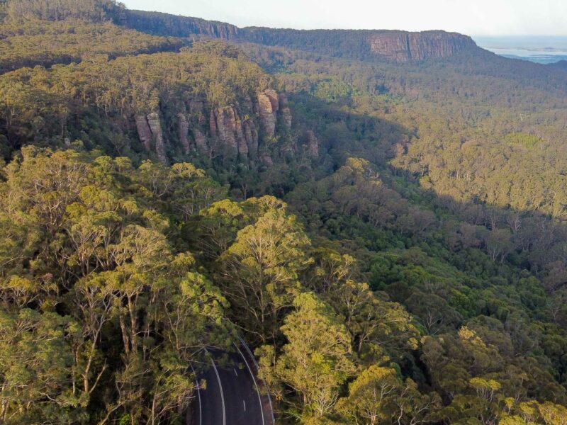 An aerial view of a winding road almost hidden beneath a dense, green forest, with a large cliff face and a rocky plateau in the background.