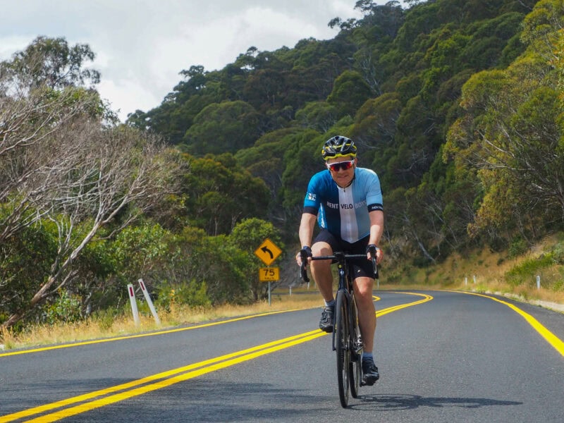 An alpine cyclist along a winding alpine road, forested on both sides