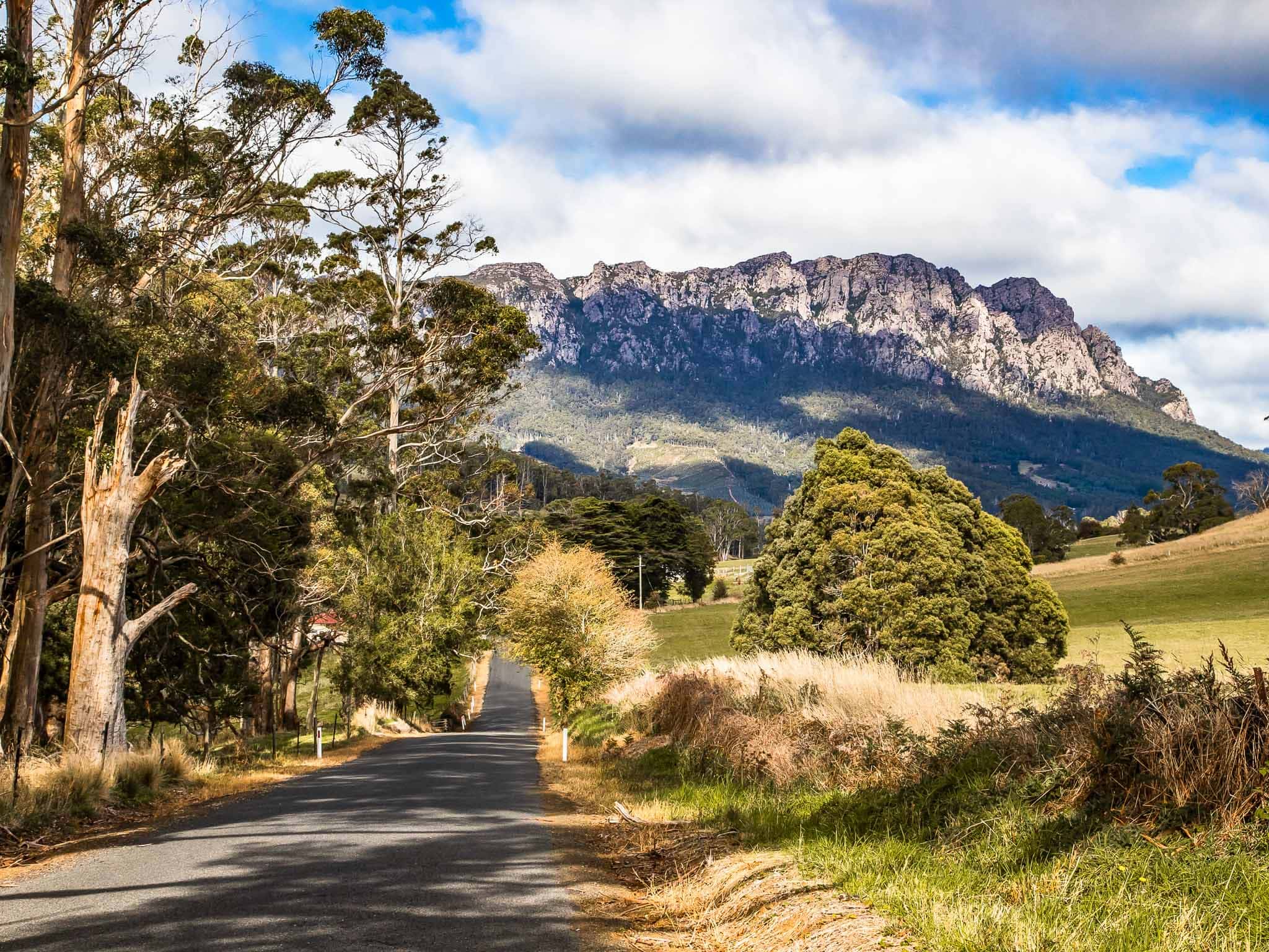 A tree-lined road lined leading toward a large, rocky mountain range under a cloudy sky.