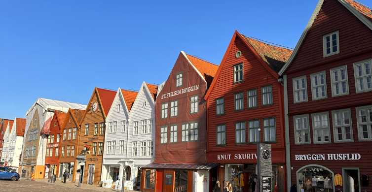 A row of red, white and brown traditional houses in the old town