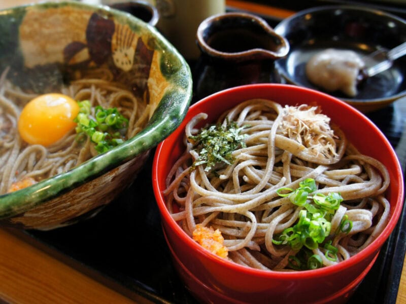 Two bowls of Japanese style food. Each one contains a different noodle dish.