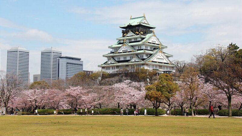 A traditional Japanese castle sits atop a small hill surrounded by parkland. A path lined with cherry blossoms, circles the castle.
