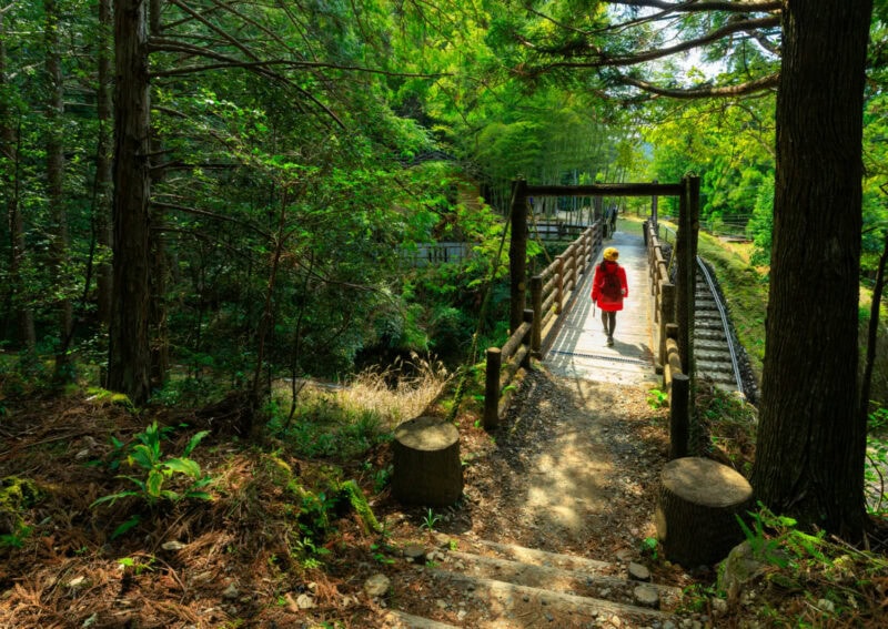 A path in the woods leads to a long bridge. There is a person crossing the bridge.