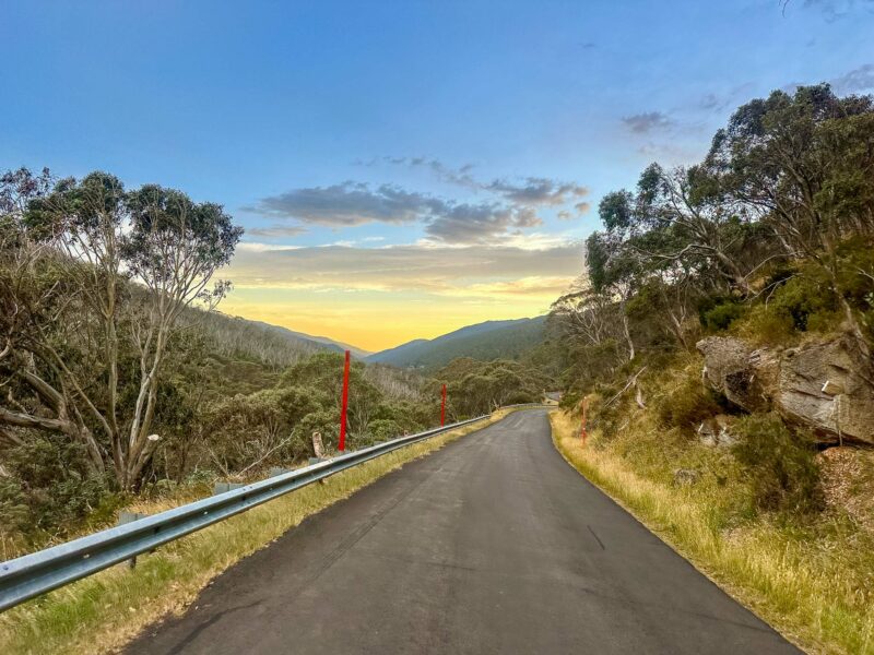 Alpine road at sunset with soft golden light over distant ridges and snow gums on either side.
