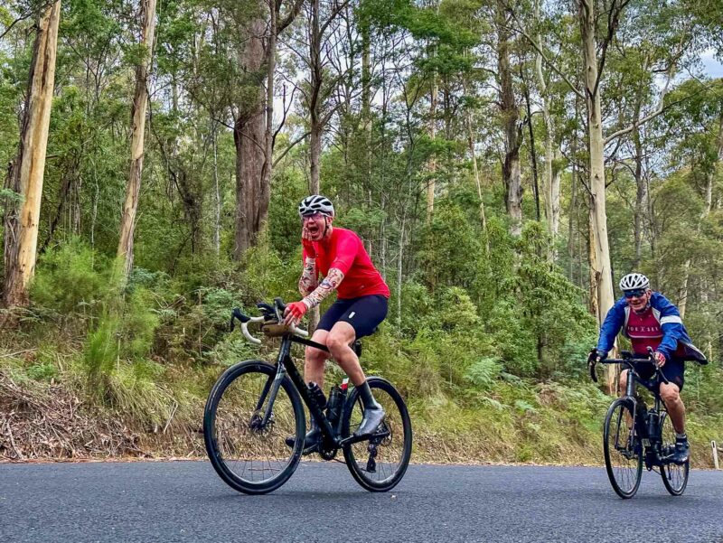 Two cyclists climbing a forested hill road, smiling as they ride past with tall eucalyptus trees in the background.