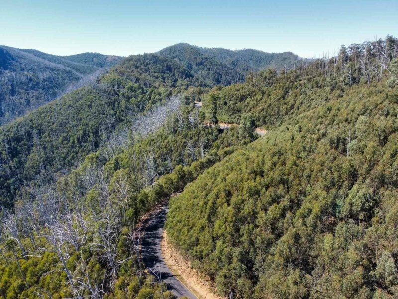 Aerial view of a winding road cutting through dense green forested hills under a clear sky.
