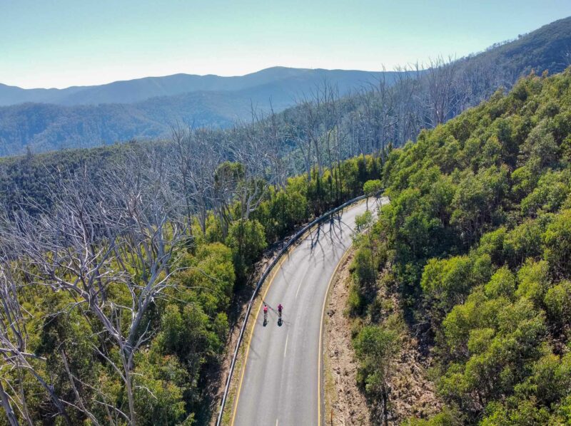 Two cyclists riding along a curving mountain road surrounded by tall trees and forested slopes