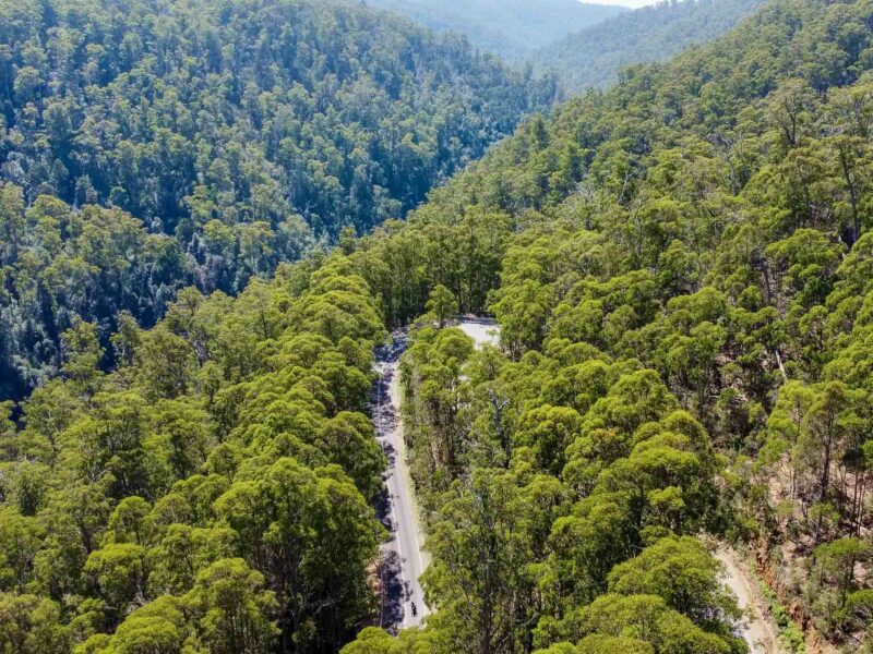 Aerial view of a forested valley with a winding road visible among the trees.