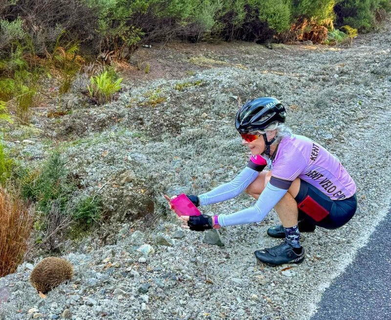 Cyclist crouching by the roadside taking a photo of an echidna on rocky ground.