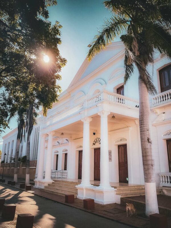 Elegant white neoclassical building with columns framed by palm trees and sunlight.