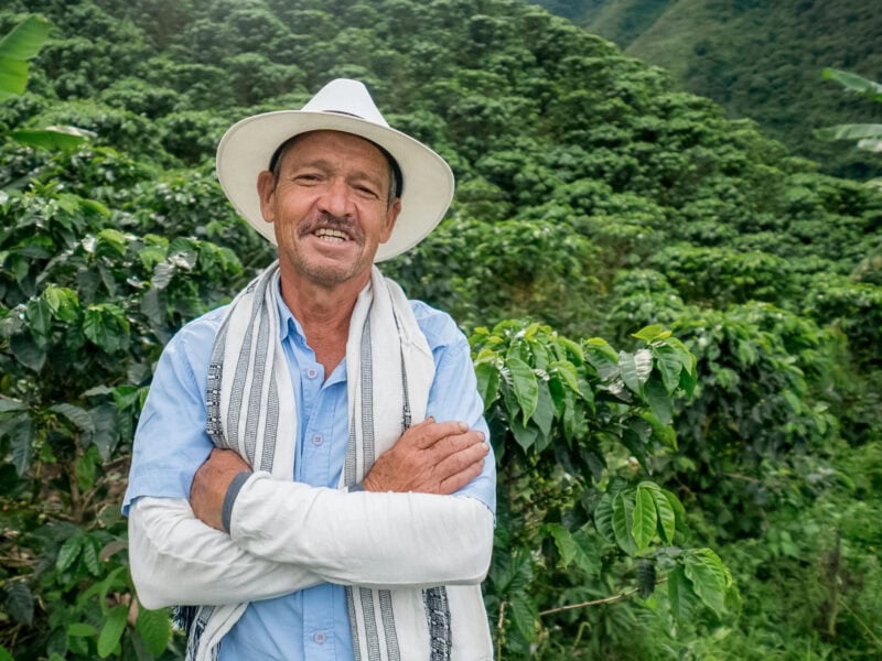 Coffee farmer in a white hat and striped scarf standing proudly with arms crossed in front of rows of coffee plants.