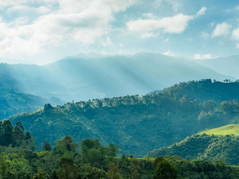 Sunbeams breaking through clouds over the lush green mountains of Colombia’s coffee-growing region.