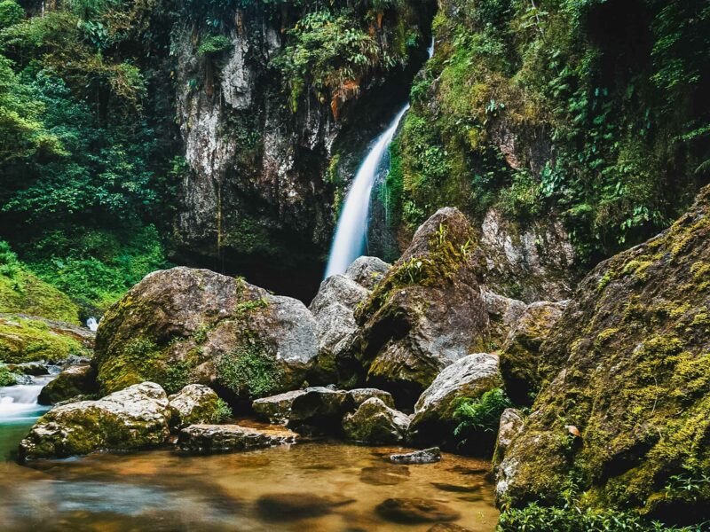 Waterfall tumbling down a narrow cliff face surrounded by mossy boulders and lush green vegetation into a shallow clear pool at the forest floor.