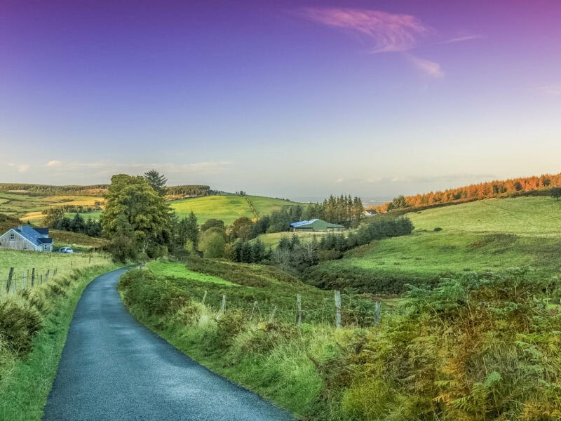 A single lane road winds though rolling emerald fields divided by hedgerows and dotted with farmhouses, bathed in soft light