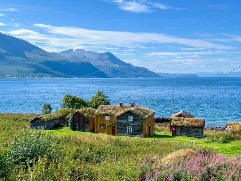 A cluster of old wooden houses with grass-covered sod roofs overlooking a blue fjord, with green mountains rising in the background under a bright summer sky.