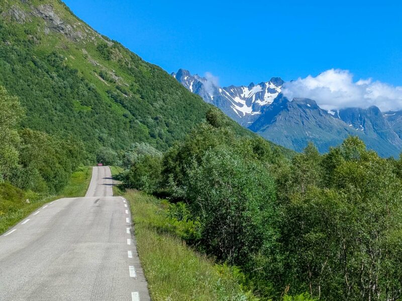 Mountain road lined with trees, leading toward snow-capped peaks in the distance.
