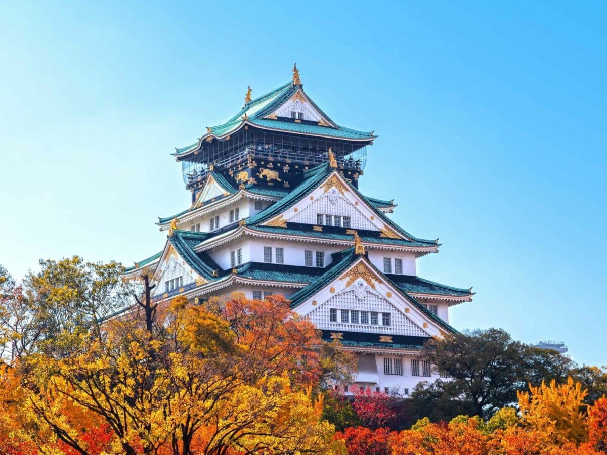 A multi story traditional Japanese castle rises from a stand of golden leafed trees. The top story provides a viewing platform for visitors.