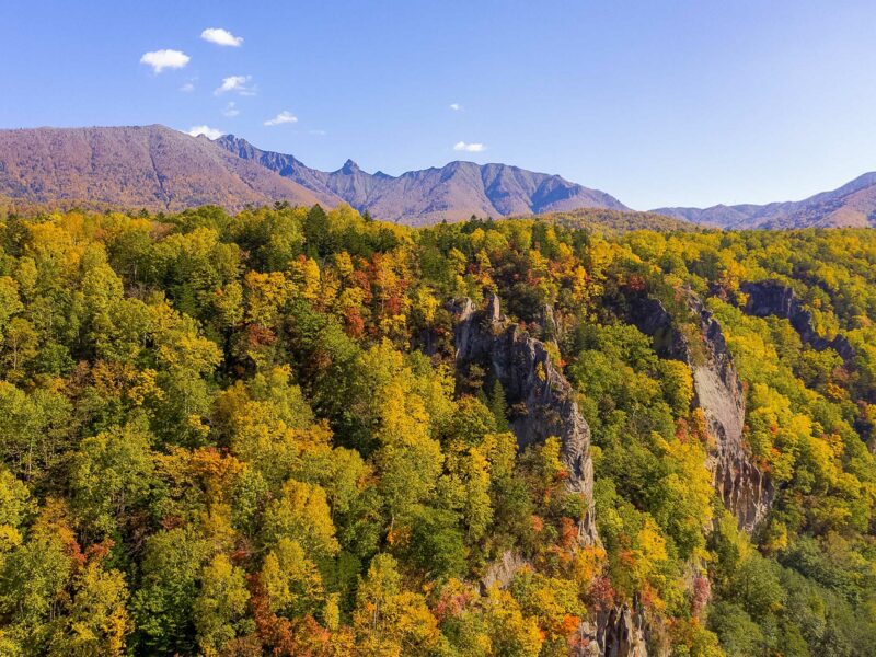 Tree-covered ridge with vibrant autumn foliage in gold and orange, backed by jagged mountains under a clear blue sky.