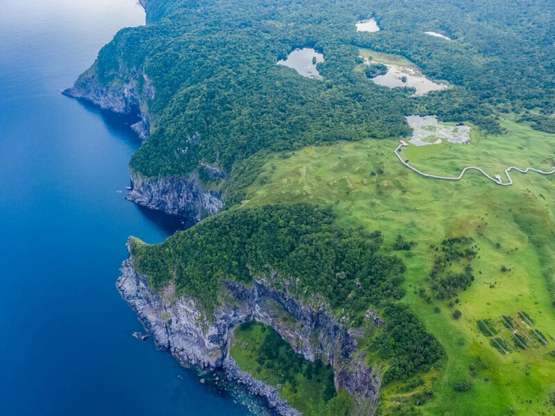 Steep forested cliffs dropping into the sea, with grassy meadows and winding paths along the rugged coastline.