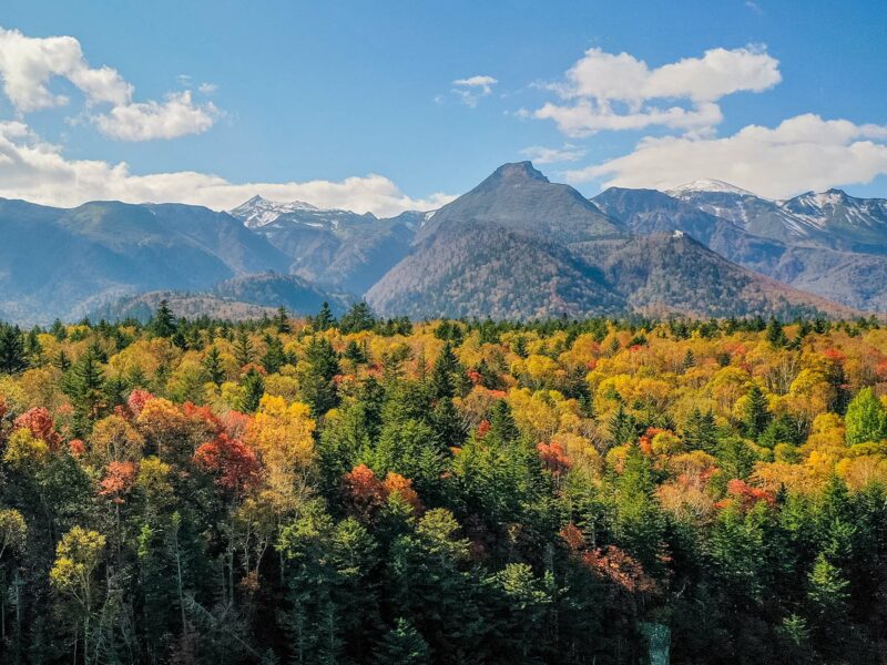 Colorful autumn trees stretch across the foreground contrast against the rugged mountains behind, under a clear blue sky with scattered clouds.