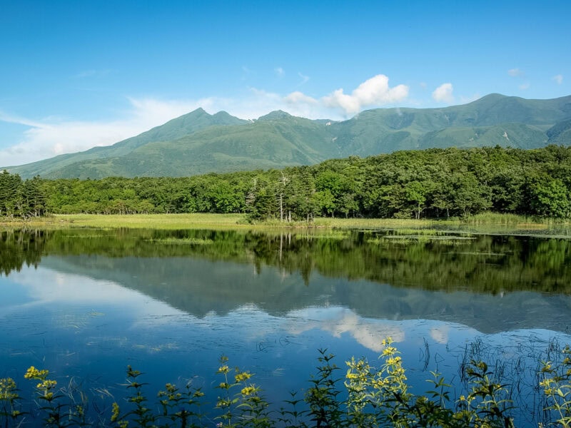 Still water bordered by greenery, reflecting forest and nearby mountains under a clear blue partly cloudy sky.