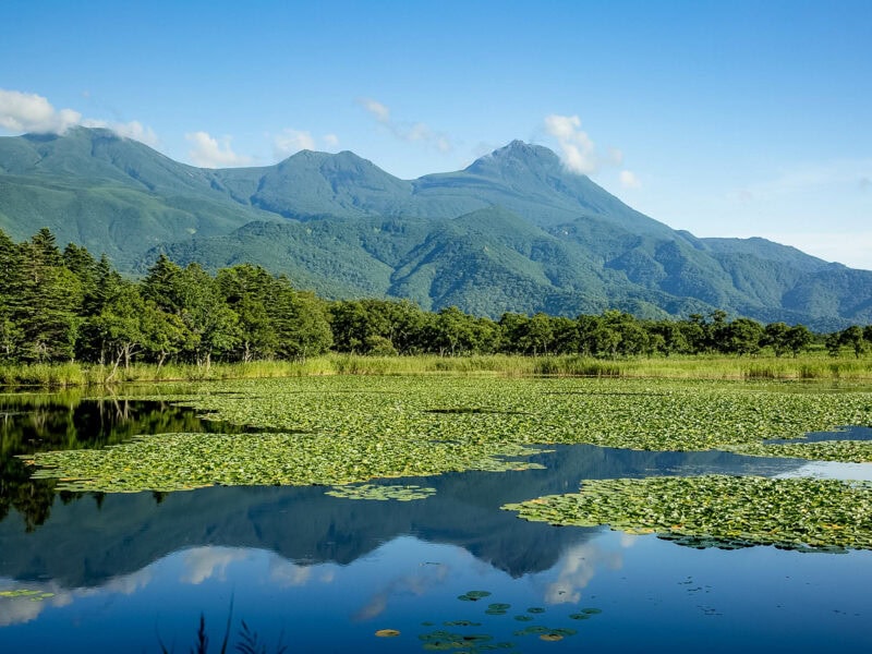 Lake dotted with green lily pads reflecting a backdrop of rugged mountain peaks and a line of trees.