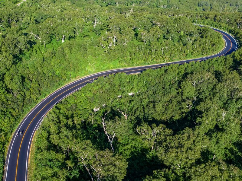 Aerial view of a winding asphalt road cutting through dense green forest, with tall trees covering rolling hillsides.