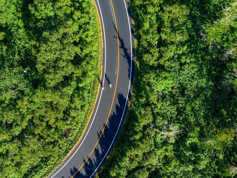 Two cyclists riding along a smooth winding road through dense green forest, viewed from above with long shadows cast across the asphalt.
