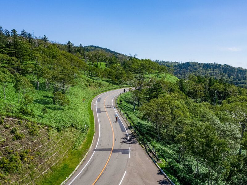 Smooth asphalt road bending around green hillsides, flanked by trees and grassy slopes under a clear blue sky.