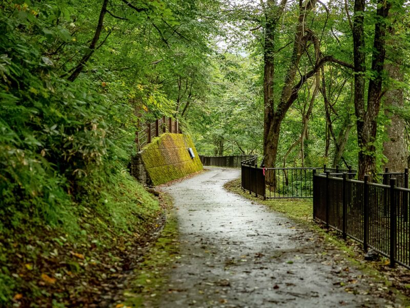 Curving paved path leading toward and around a yellow mossed retainer wall, shaded by tall leafy trees and bordered by a low fence.
