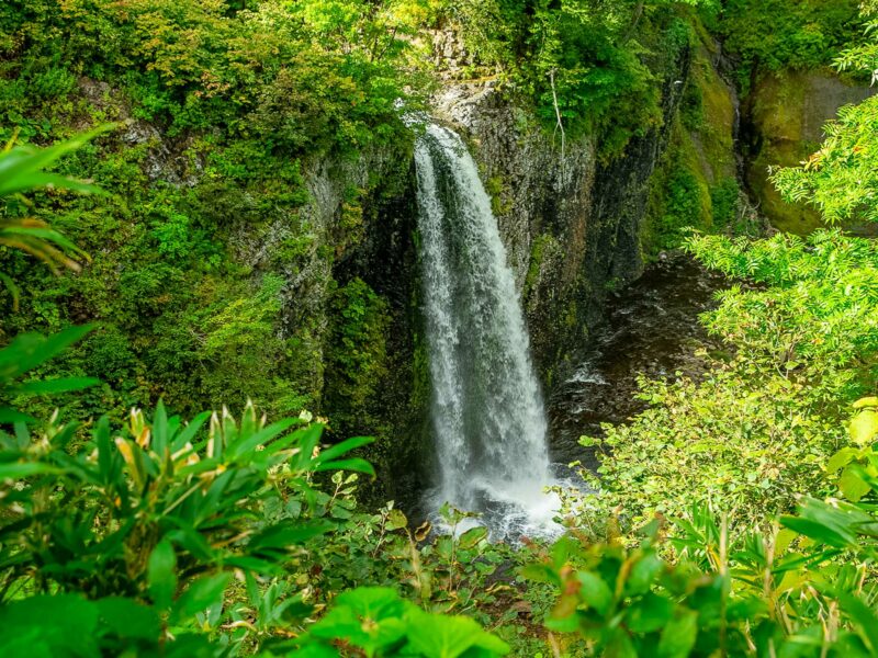 Narrow waterfall plunging down a moss-covered cliff, surrounded by dense green foliage and partially hidden behind leafy trees.