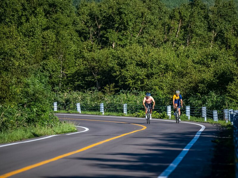 Small group of cyclists rounding a bend on a rural asphalt road with guard rails, surrounded by lush green forrest .