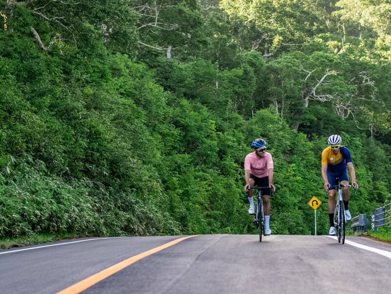Two cyclists on a quiet tree-lined road surrounded by dense greenery