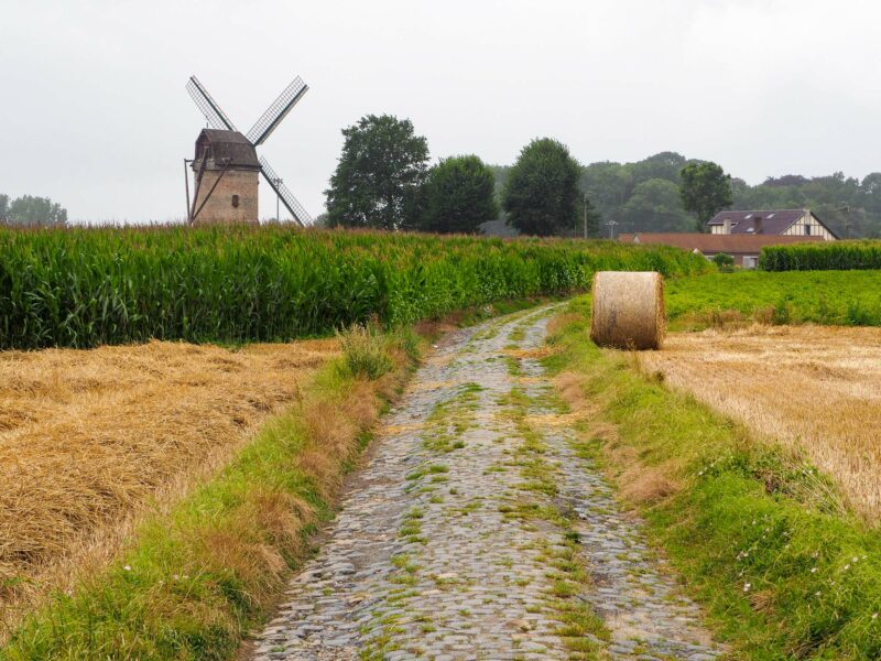 Cobblestone path past windmill and hay bale fields