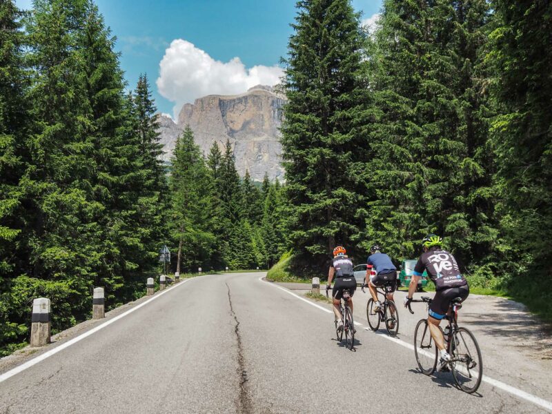 Cyclists riding mountain road through forested alpine landscape
