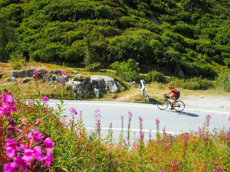 Cyclist riding through lush hills and wildflowers