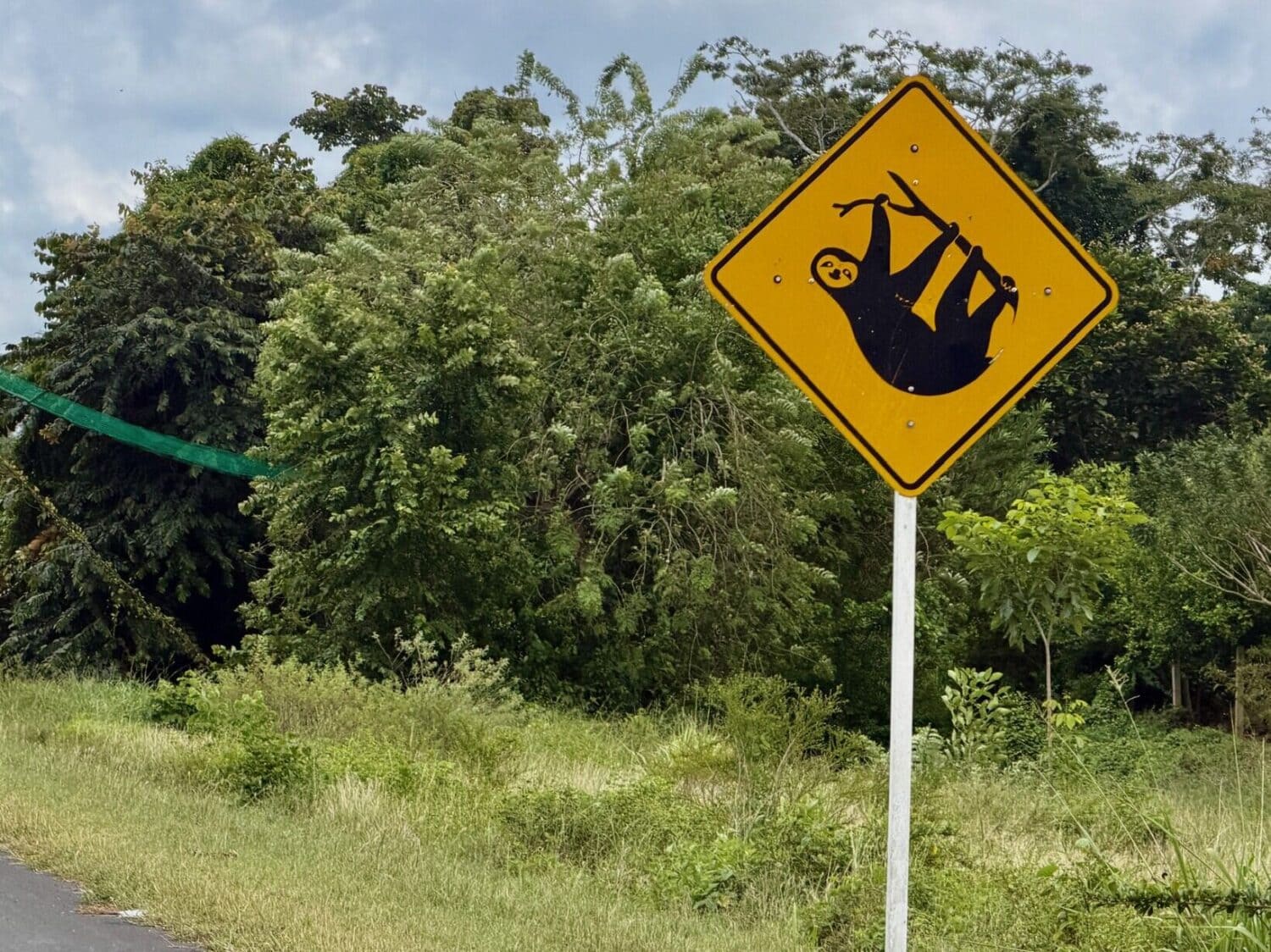 Cycling In Colombia Sloth Road Sign 1500x1124