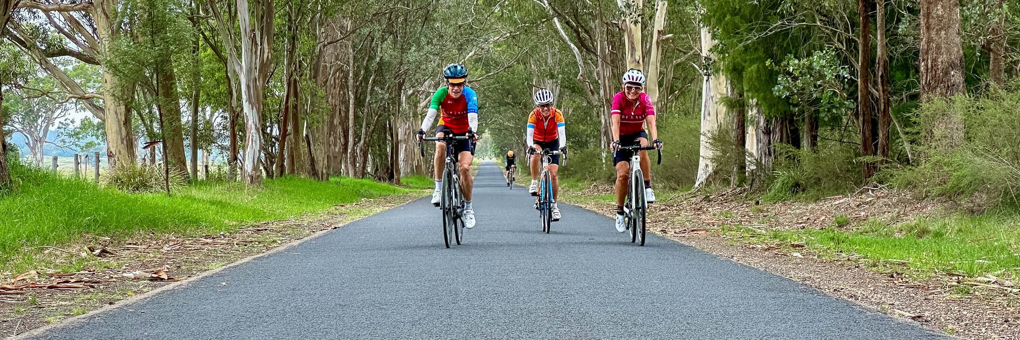A group of cyclists riding along a tree-lined asphalt road through the Australian countryside on the Ride & Seek Strzelecki cycling tour.